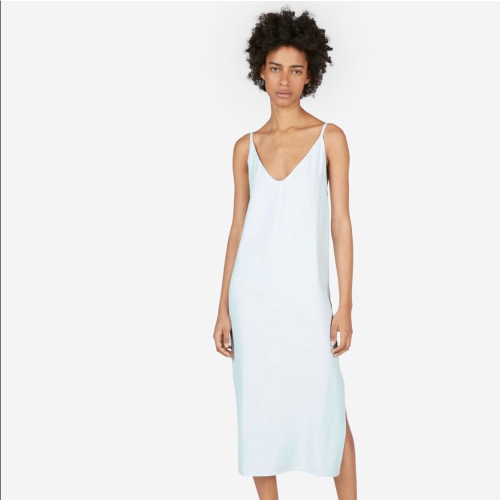 Everlane Japanese Go Weave Slip Dress (USED) Mint